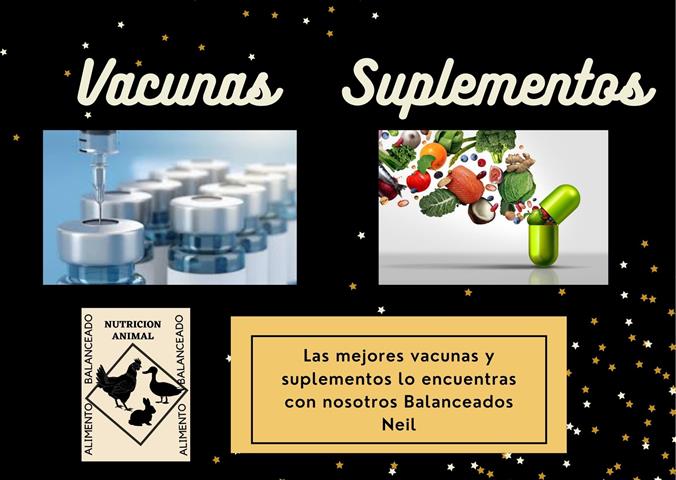 Venta de vacunas y suplementos para aves